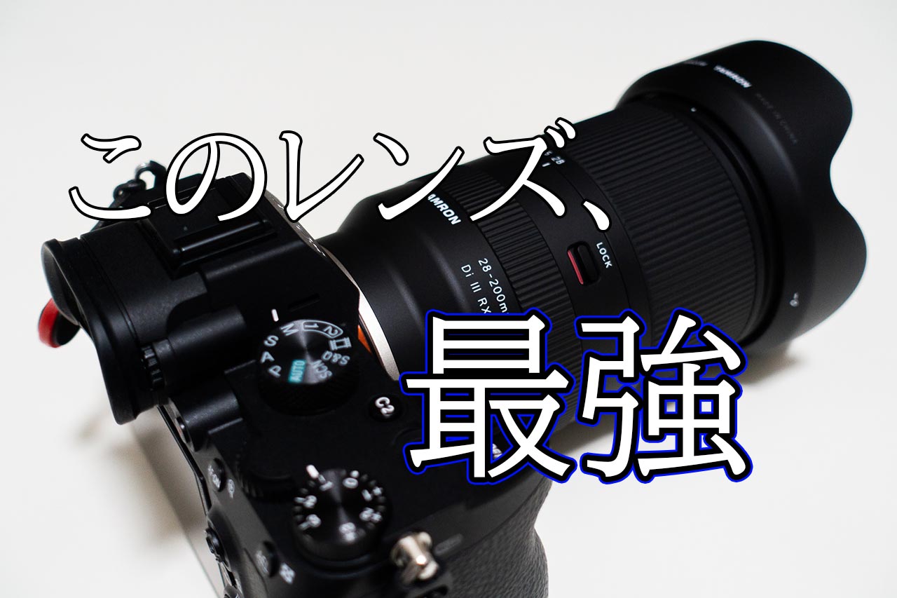 使用レビュー】タムロンの28-200mm F2.8-5.6はなんでも撮れる優等生